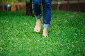 What is Grounding and How is it Good for You